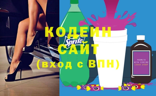apvp Инсар