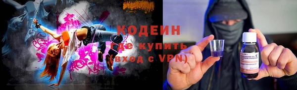 apvp Инсар