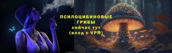 мет Инта