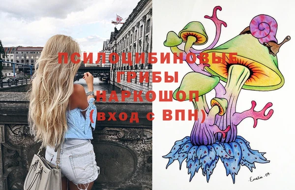 apvp Инсар