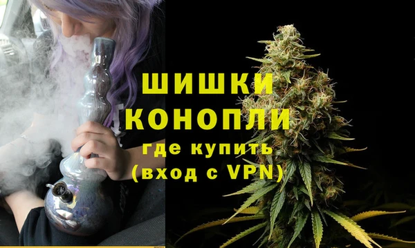 мет Инта