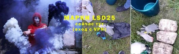 apvp Инсар