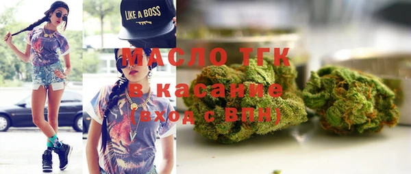 мет Инта