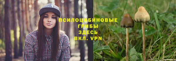 apvp Инсар