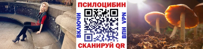 нарко площадка формула  где найти   Заводоуковск  Галлюциногенные грибы мицелий 