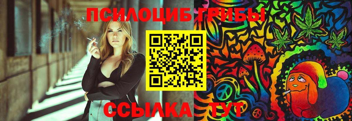 Псилоцибиновые грибы Psilocybe  магазин    Вход с VPN  Заводоуковск  Галлюциногенные грибы Cubensis 